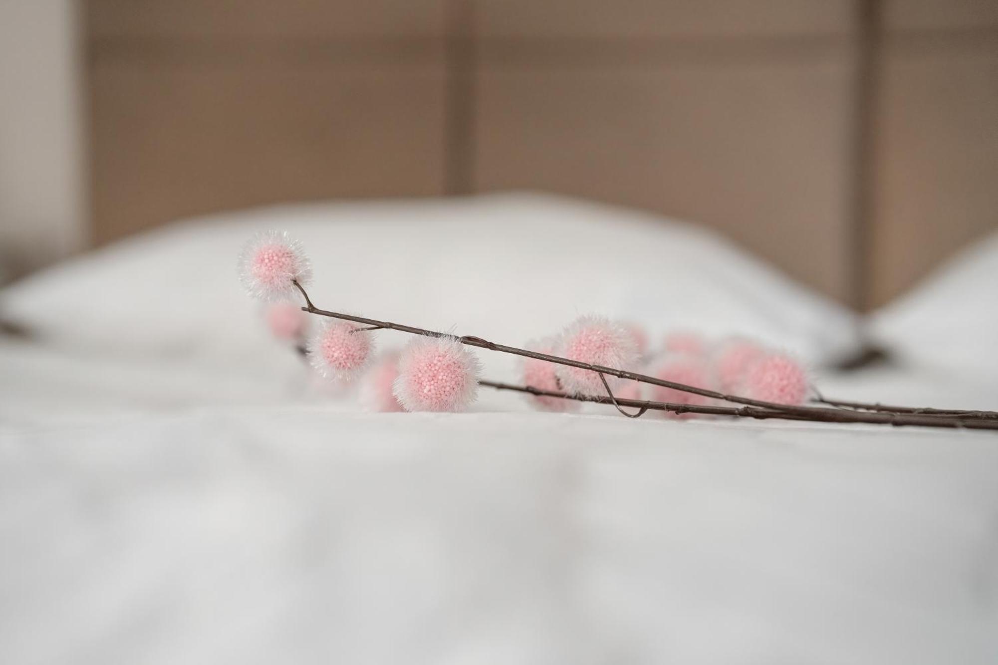 Stylowe I Eleganckie Studia Very Berry W Poznaniu By Noclegi Renters Ngoại thất bức ảnh